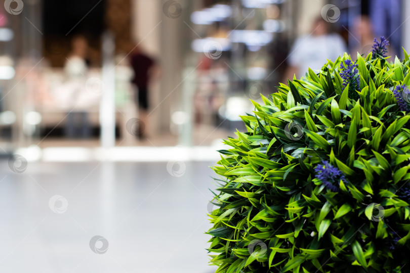 Скачать Современная торговая среда, подчеркнутая глянцевыми бликами и кустами идеальной формы фотосток Ozero