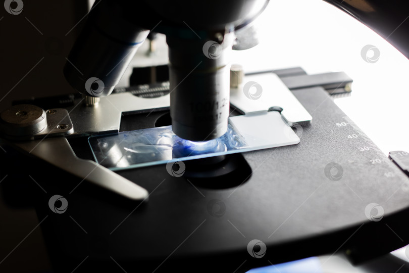 Скачать Научная лабораторная установка, демонстрирующая детальный анализ клеток с помощью микроскопа при освещении фотосток Ozero