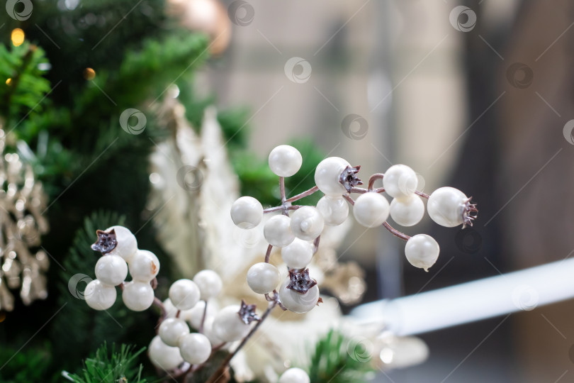 Скачать Безмятежная гроздь матовых ягод, очаровательная праздничная сцена с глянцем и мягким акцентом фотосток Ozero