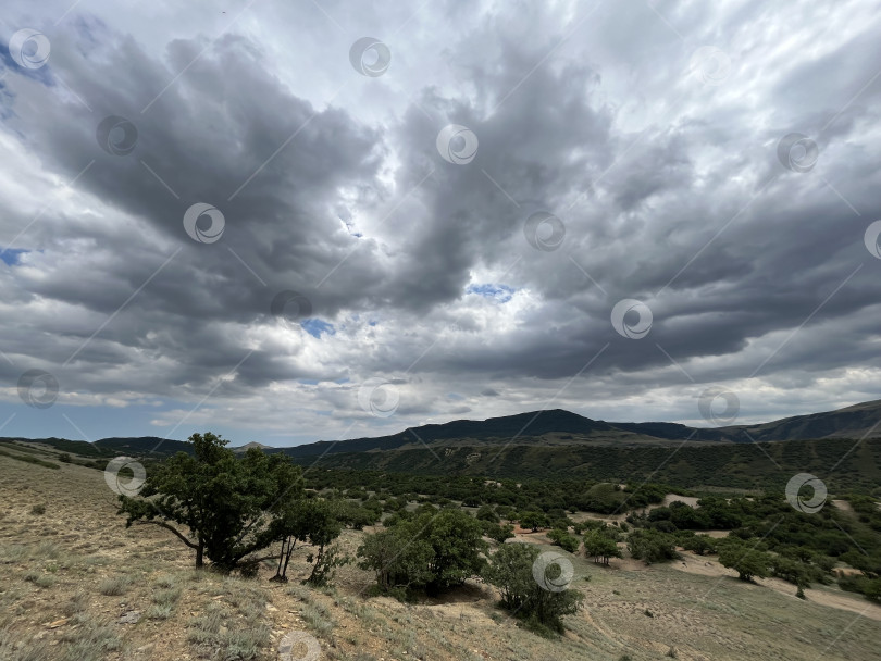 Скачать Зеленая долина в горах фотосток Ozero