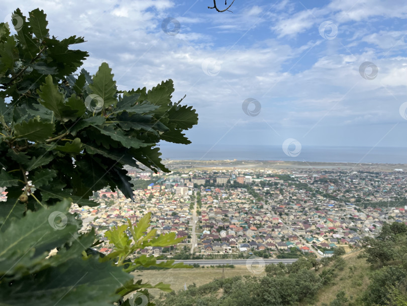 Скачать Листья дуба на фоне Избербаша фотосток Ozero