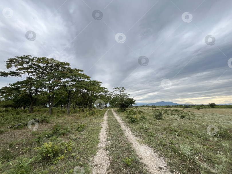 Скачать Дорога через саванну фотосток Ozero