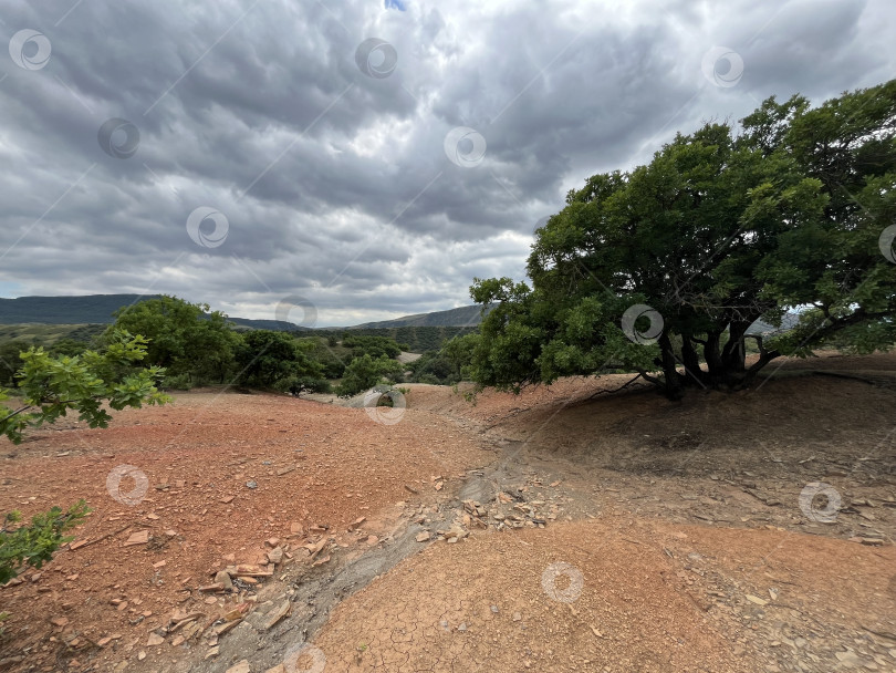 Скачать Красная долина высохшего ручья в горах фотосток Ozero