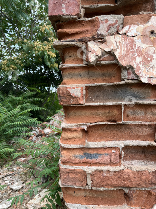 Скачать Старая кирпичная стена фотосток Ozero