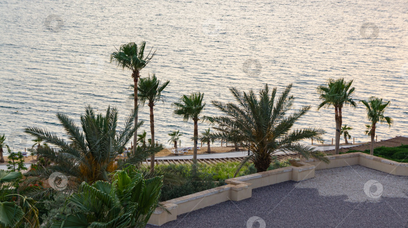 Скачать Волшебный закат на Мертвом море в Иордании. Вид на море через береговую линию. Тема курорта и туризма. фотосток Ozero