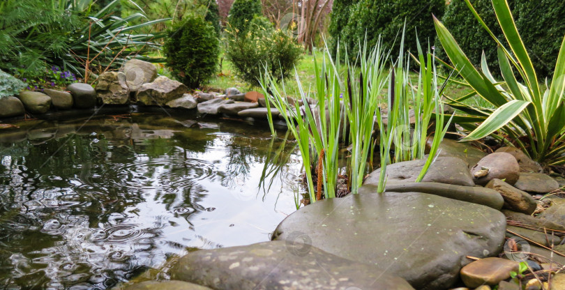 Скачать Красивый небольшой садовый пруд с каменными берегами и множеством декоративных вечнозеленых растений, цветущих после дождя. Особое внимание уделено природе. Концепция дизайна фотосток Ozero