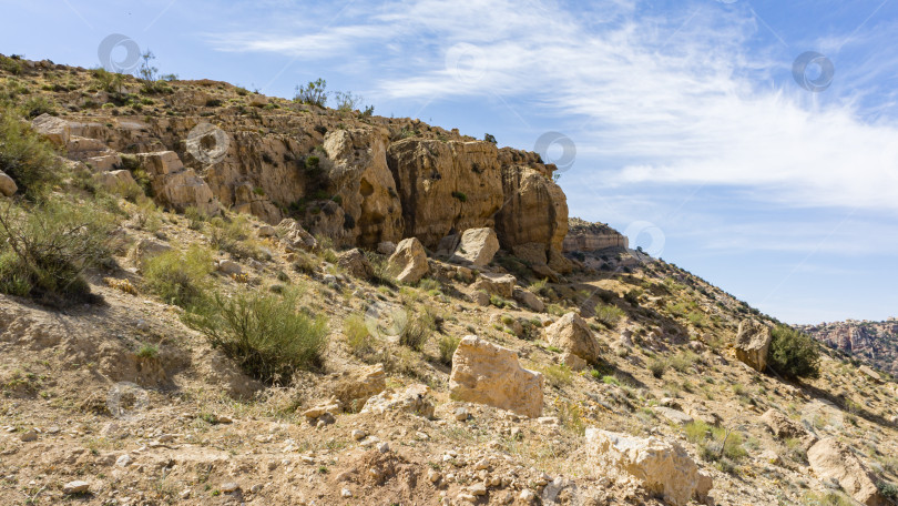Скачать Биосферный заповедник Дана - крупнейший природный заповедник Иордании, расположенный на юге центральной части Иордании и включающий горные склоны от восточной части Рифтовой долины до Вади-Араб. Экотуризм и охрана природы фотосток Ozero