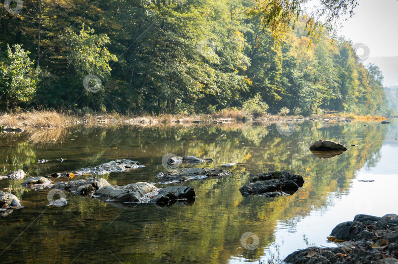 Скачать Осенний пейзаж отражается в горной реке Псекупс. Солнечный день в курортной зоне Горячий Ключ. Краснодарский край. Отличная природная концепция для дизайна. Выборочный подход. фотосток Ozero