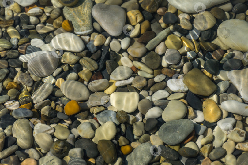 Скачать Морские камни разных размеров и фактуры черного, серого и коричневого цветов под водой на побережье Черного моря в качестве фона природы. Отличная концепция для любого дизайна фотосток Ozero