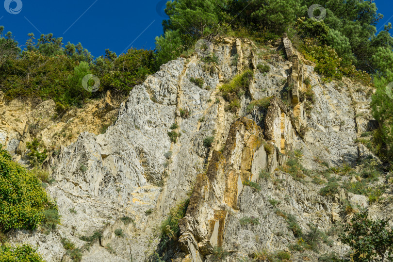 Скачать Красивая природная текстура Кавказских гор на побережье Черного моря в Ольгинке. Камни и фрагменты скал разного размера в качестве оригинального фона. Выборочный фокус фотосток Ozero