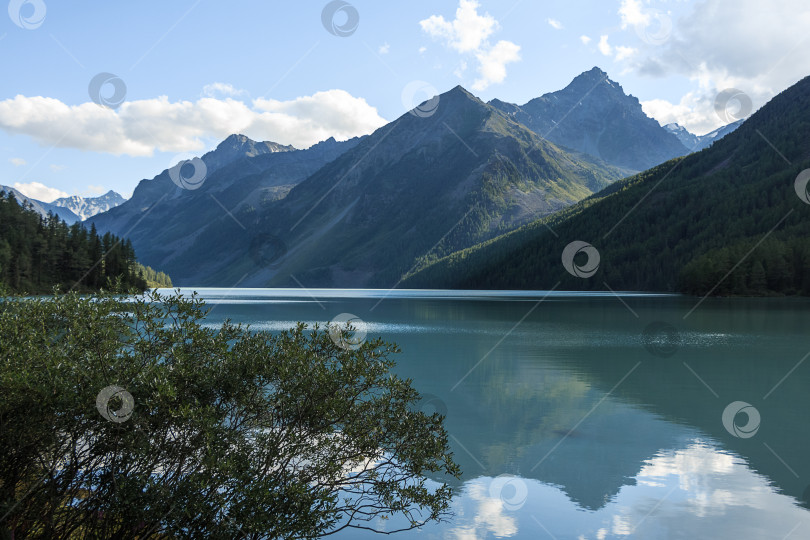 Скачать Кучерлинское озеро фотосток Ozero