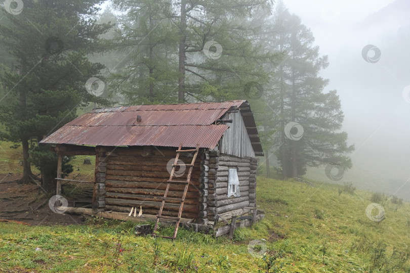 Скачать Старая избушка в лесу фотосток Ozero