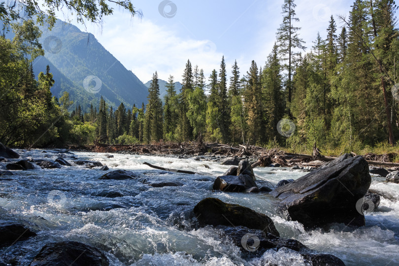 Скачать Горная Кучерла с порогами фотосток Ozero