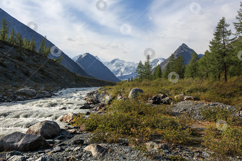 Скачать Река Ак-кем в горах Алтая фотосток Ozero