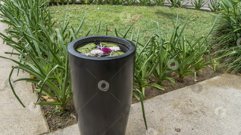 Скачать Ландшафтный дизайн парка. Высокая каменная ваза на краю пешеходной дорожки. фотосток Ozero