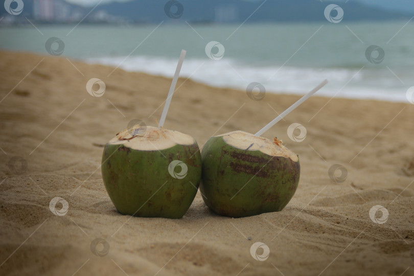 Скачать Кокосы фотосток Ozero