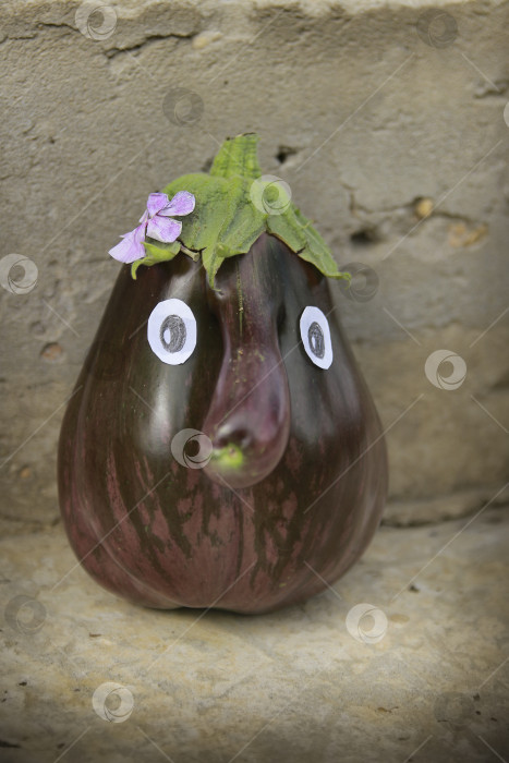 Скачать Баклажан фотосток Ozero