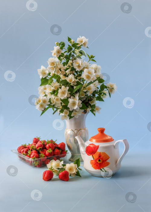 Скачать Жасмин с клубникой фотосток Ozero