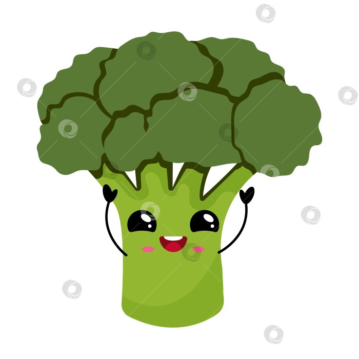 Скачать Симпатичная счастливая иллюстрация Кавайного овощного персонажа из Брокколи фотосток Ozero