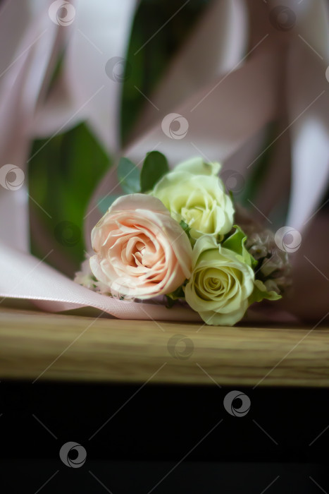 Скачать Нежность роз фотосток Ozero