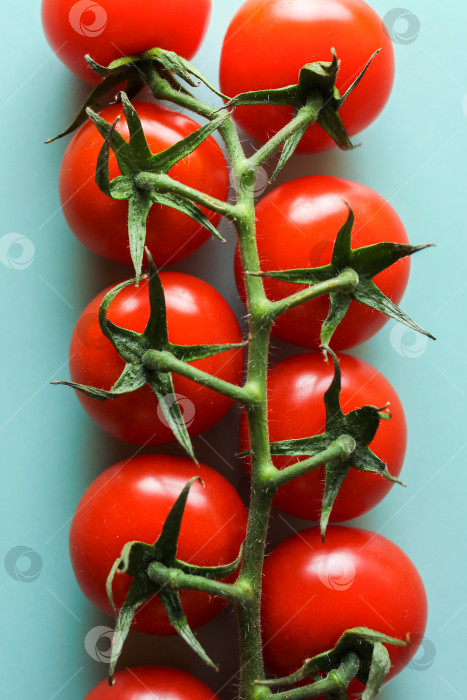 Скачать Ветка с красными помидорами на зеленом фоне сверху, вертикальный фон с помидорами фотосток Ozero