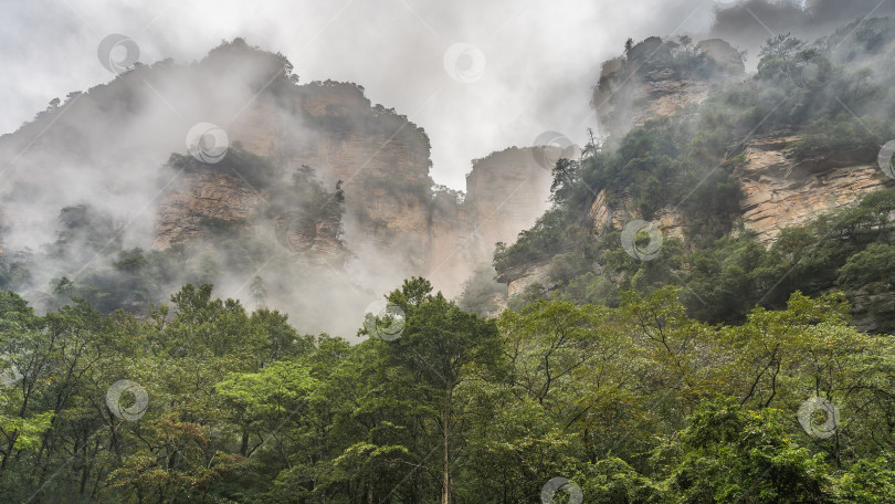 Скачать Туманный горный пейзаж. Отвесные скалы причудливых очертаний окутаны облаками и туманом фотосток Ozero