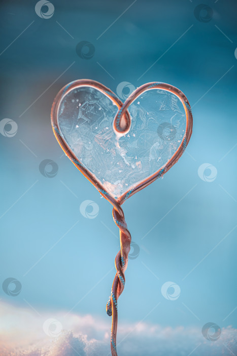 Скачать Сердце из медной проволоки, наполненное колотым льдом, вырастает из чистого белого снега, вызывая зимнюю романтику и хрупкие, морозные эмоции на нежно-голубом фоне фотосток Ozero