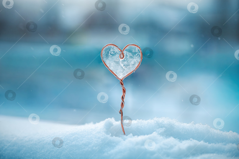 Скачать Сердце из медной проволоки, наполненное колотым льдом, вырастает из чистого белого снега, вызывая зимнюю романтику и хрупкие, морозные эмоции на нежно-голубом фоне фотосток Ozero