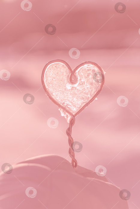 Скачать Розовое замороженное сердце с ледяной сердцевиной на тонкой проволочной ножке, символизирующее хрупкую любовь и застывшие эмоции на мягком пастельно-розовом фоне с тонким светом и текстурой фотосток Ozero