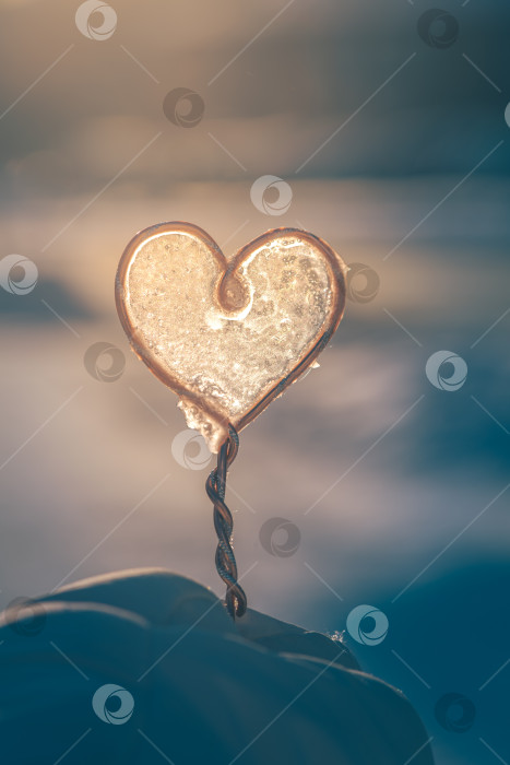 Скачать Ледяная конструкция в форме сердца, заключенная в рамку из медной проволоки, переливается подсветкой на нежно-голубом фоне с теплым оттенком боке, символизируя непреходящую любовь и хрупкость в условиях холодной зимы. фотосток Ozero