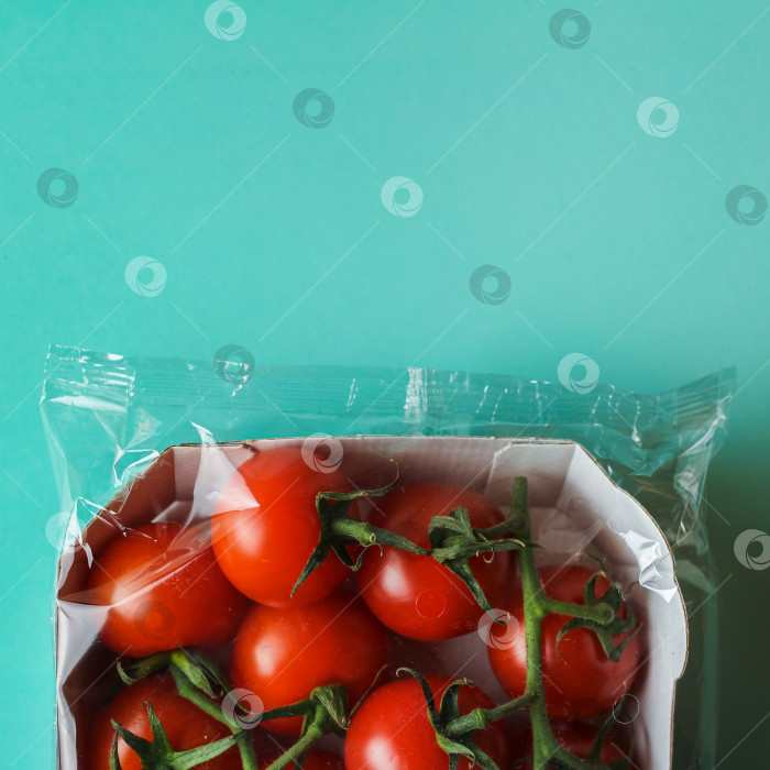 Скачать красные помидоры в прозрачной упаковке на синем фоне квадратного формата фотосток Ozero