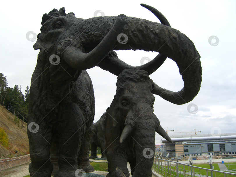 Скачать Мамонты фотосток Ozero