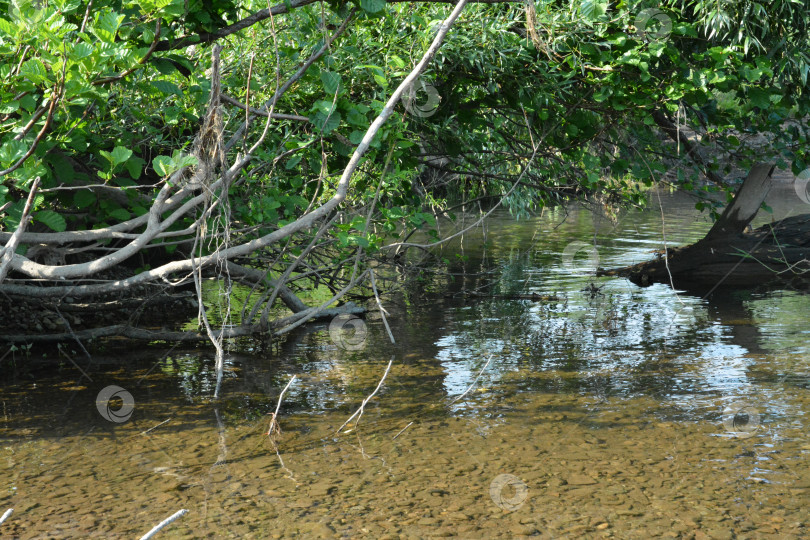 Скачать Река Зиган фотосток Ozero