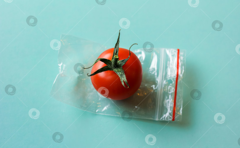 Скачать Красный помидор в пакете на молнии на зеленом фоне фотосток Ozero