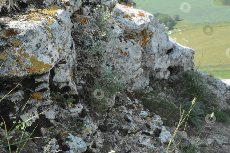 Скачать Шихан фотосток Ozero