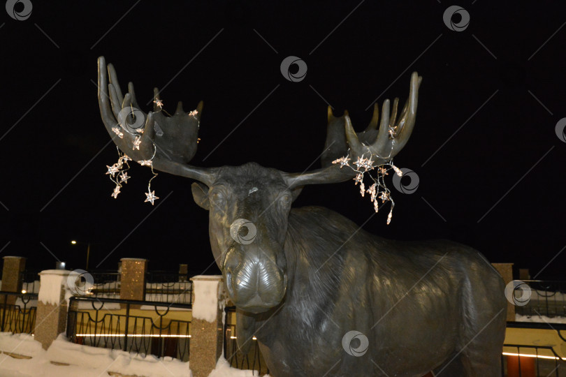 Скачать Новогодний лось фотосток Ozero