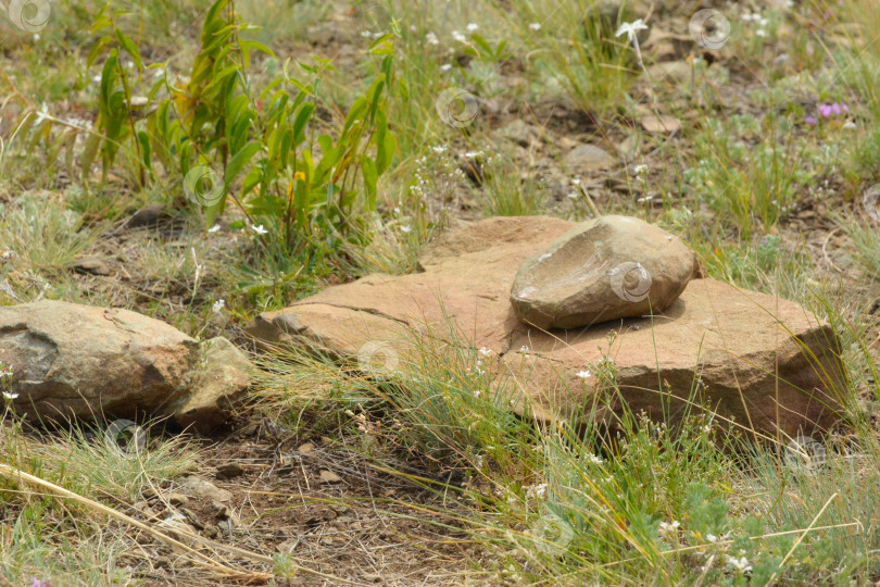 Скачать Камни фотосток Ozero
