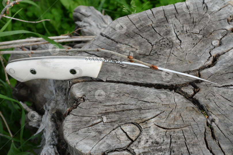 Скачать нож "Ведьма была" фотосток Ozero