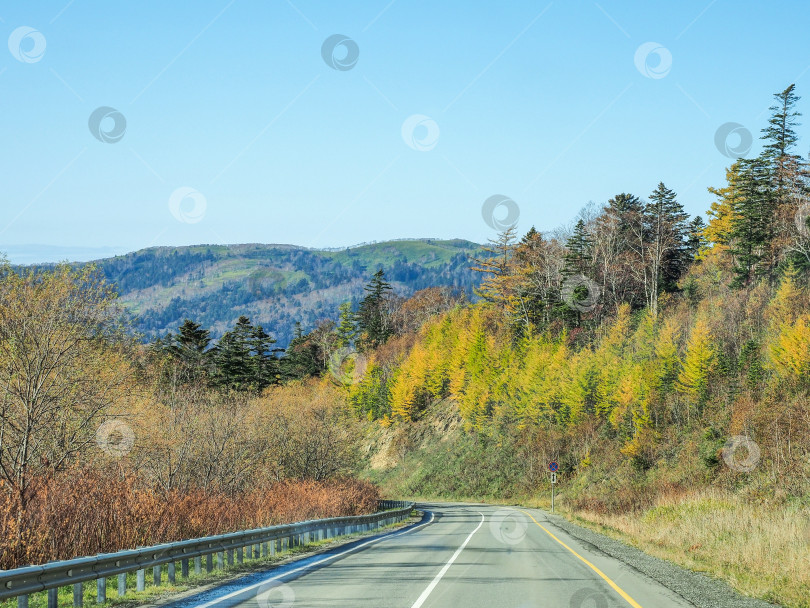 Скачать Ловецкий перевал. Осень. Сахалин. Осень. Сахалин. (марка) фотосток Ozero