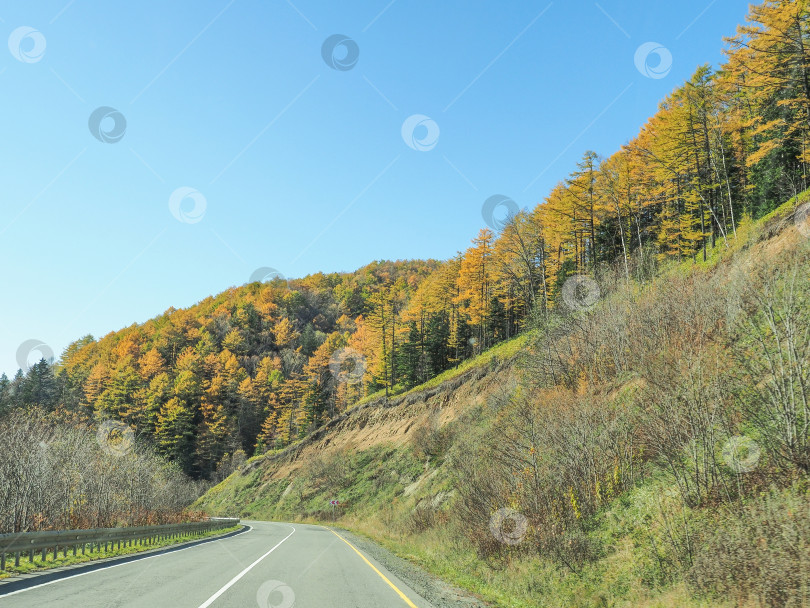 Скачать Ловецкий перевал. Осень. Сахалин. Осень. Сахалин. (марка) фотосток Ozero