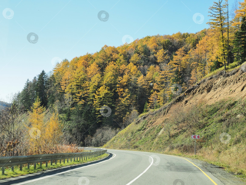 Скачать Ловецкий перевал. Осень. Сахалин. Осень. Сахалин. (марка) фотосток Ozero