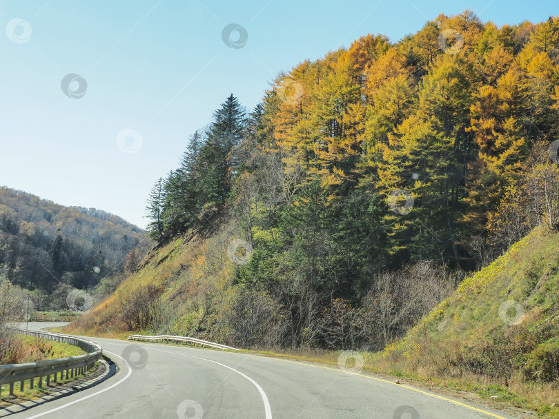 Скачать Ловецкий перевал. Осень. Сахалин. Осень. Сахалин. (марка) фотосток Ozero