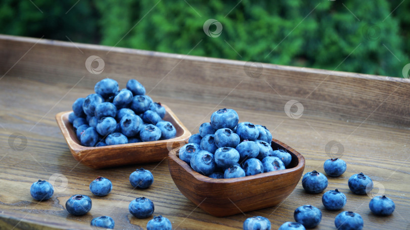Скачать ягоды голубики на деревянном подносе фотосток Ozero