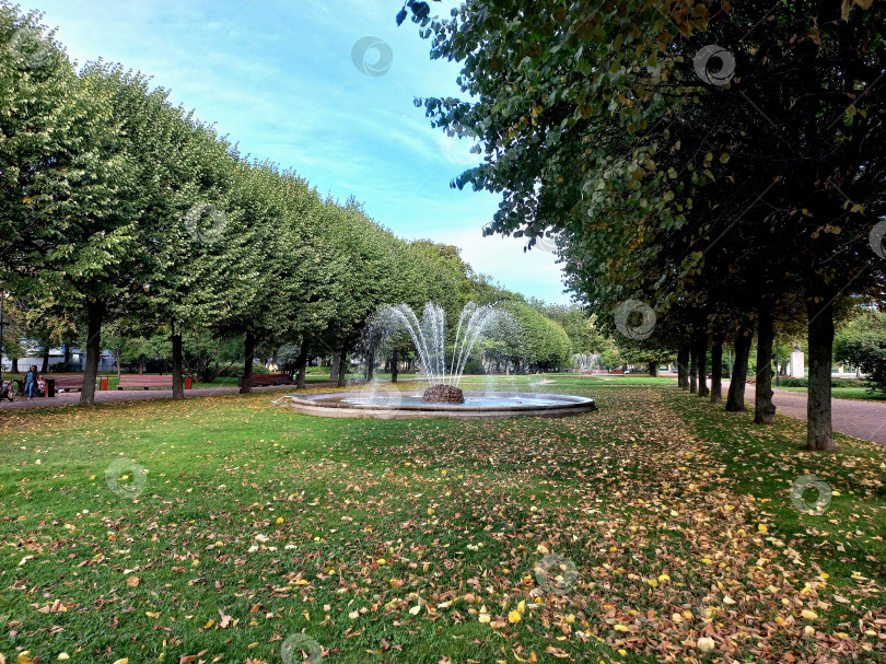 Скачать Фонтаны в саду-партер Смольного собора в Санкт-Петербурге фотосток Ozero