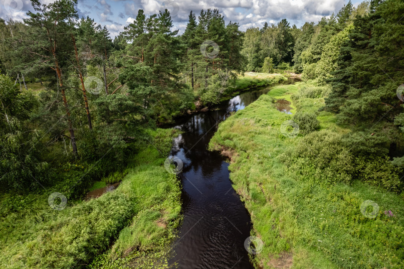 Скачать Вид сверху на реку Нерская и зеленый лес. Аэросъемка, Московская область, Россия. фотосток Ozero