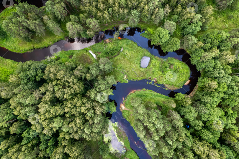 Скачать Вид сверху на реку Нерская и зеленый лес. Аэросъемка, Московская область, Россия. фотосток Ozero
