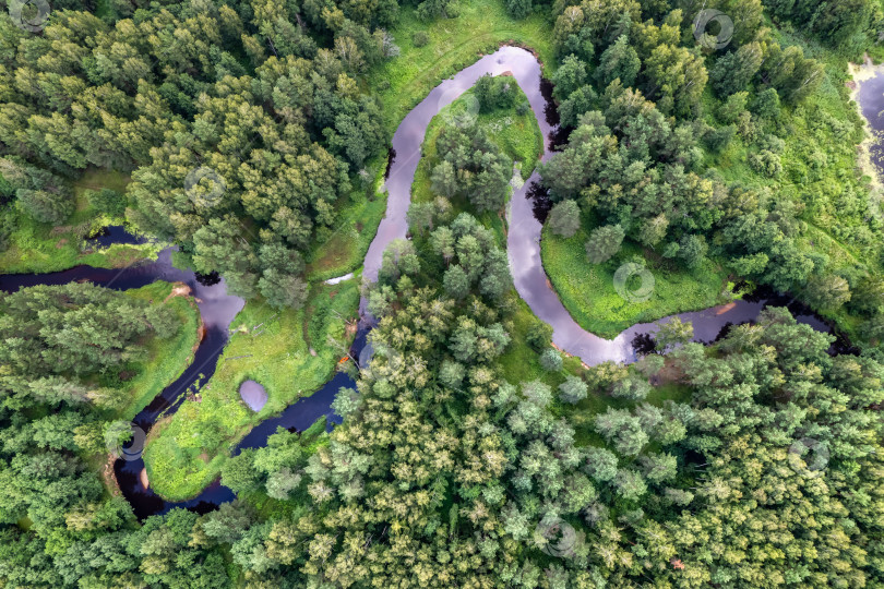 Скачать Вид сверху на реку Нерская и зеленый лес. Аэросъемка, Московская область, Россия. фотосток Ozero