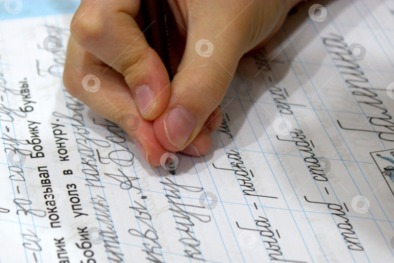 Скачать Школьные прописи фотосток Ozero