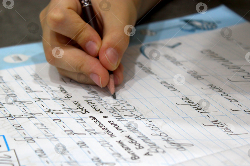 Скачать Школьные прописи фотосток Ozero