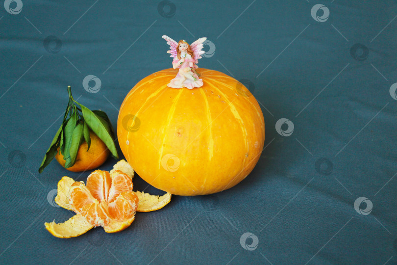 Скачать Тыква фотосток Ozero
